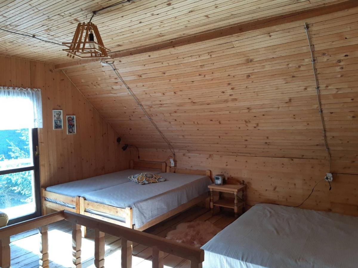 Holiday House Nesovic Копаоник Экстерьер фото