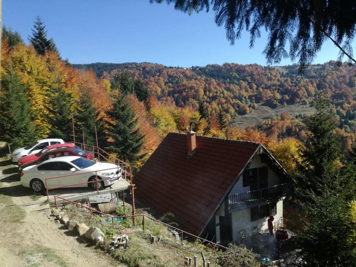 Holiday House Nesovic Копаоник Экстерьер фото